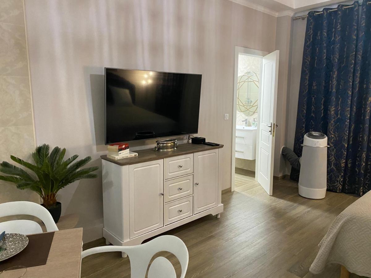 Large Beautiful Near The Negresco Appartement